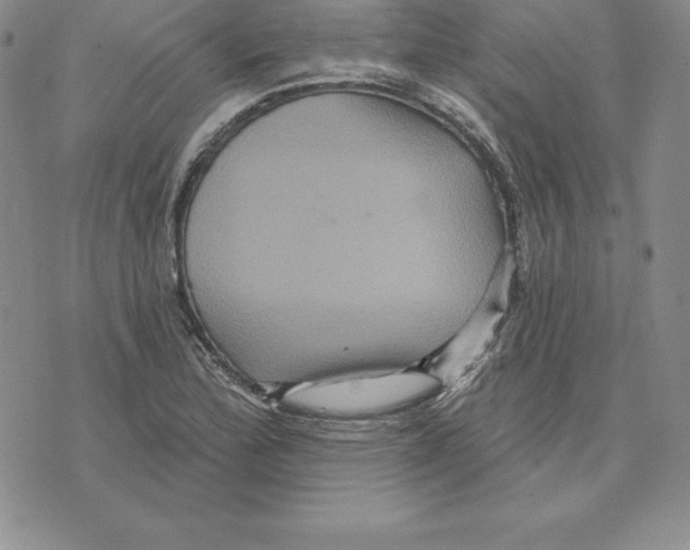 X0000075831172200610151512