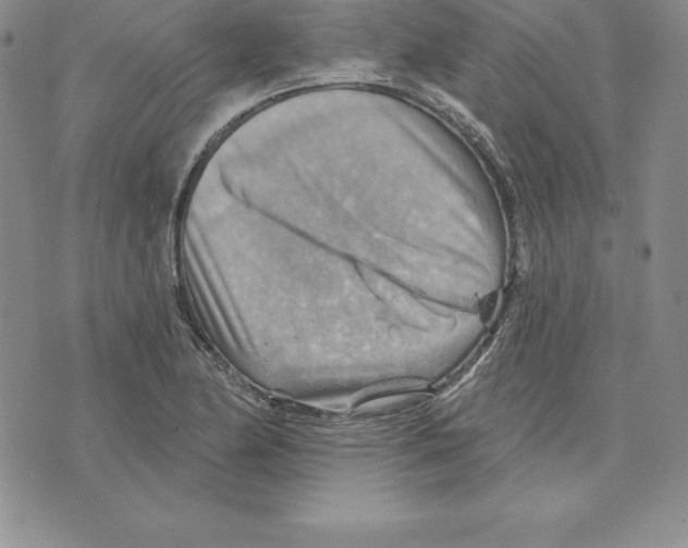 X0000075831174200610151512