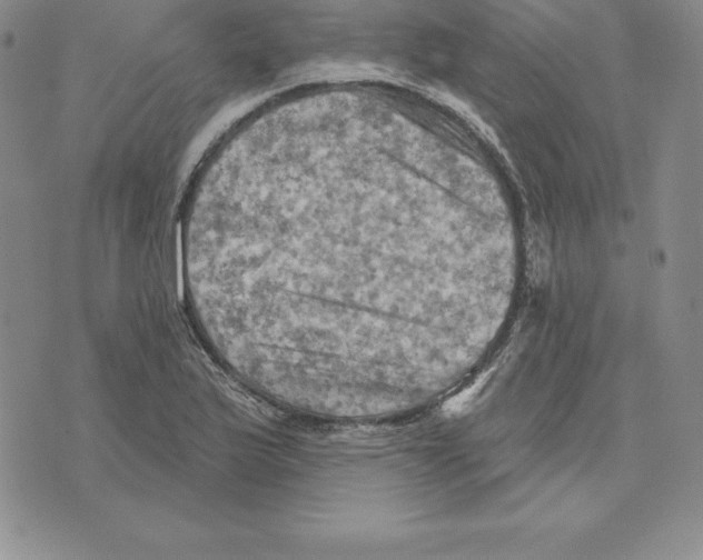 X0000075831175200610151512