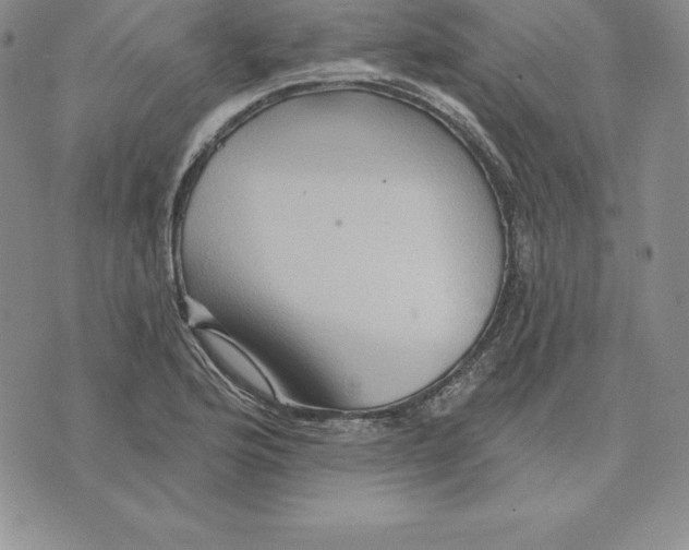 X0000075831176200610151512