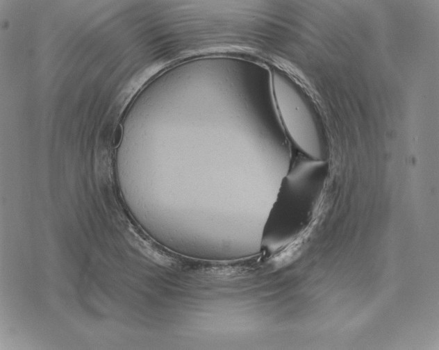 X0000075831177200610151512