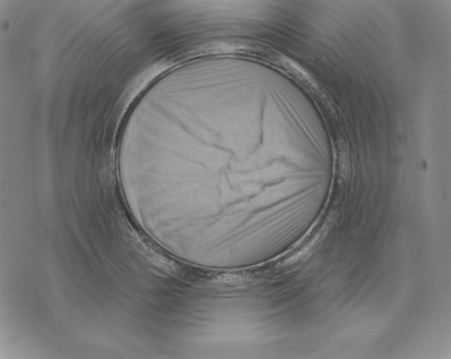 X0000075831178200610151512