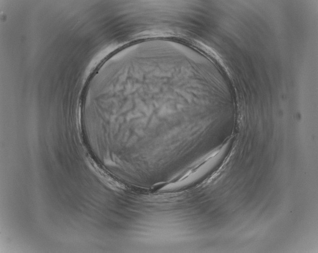 X0000075831179200610151512