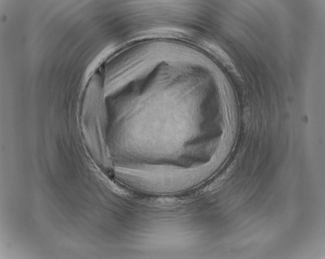 X0000075831180200610151512