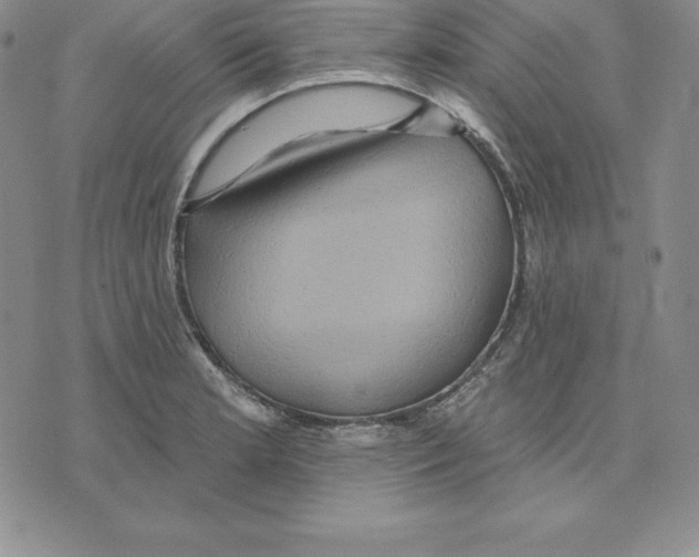 X0000075831181200610151512