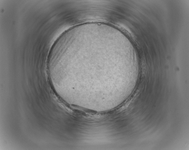 X0000075831182200610151512