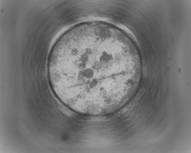 X0000075831183200610151512