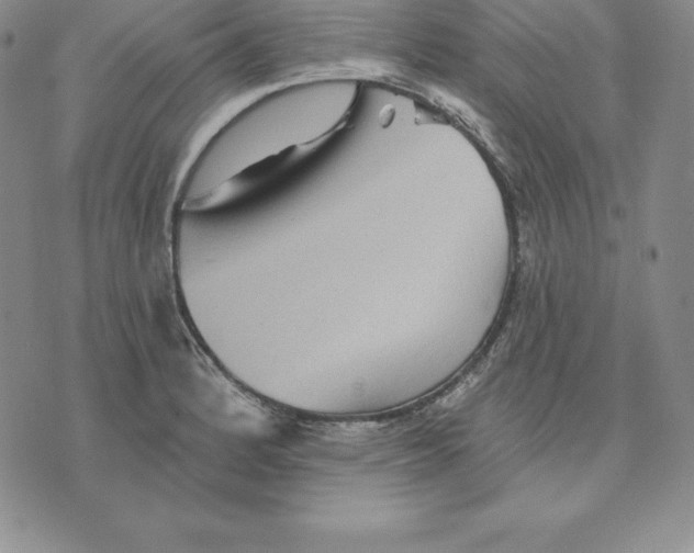 X0000075831184200610151512