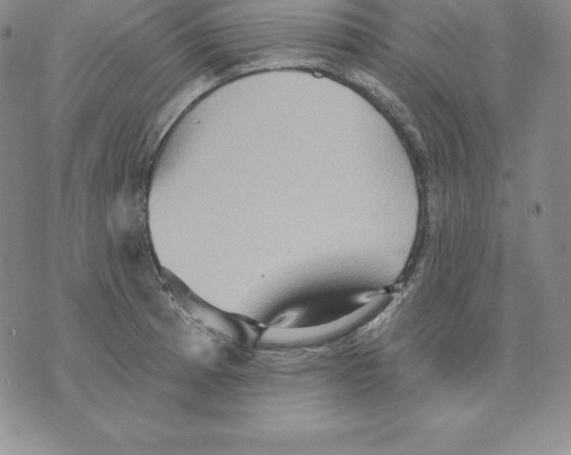 X0000075831185200610151512