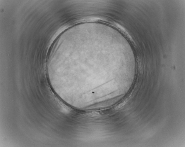 X0000075831186200610151512