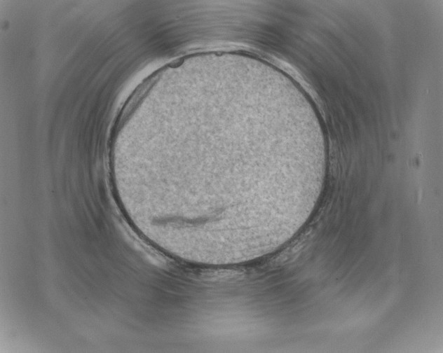 X0000075831187200610151512