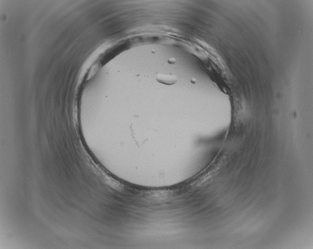 X0000075831188200610151512