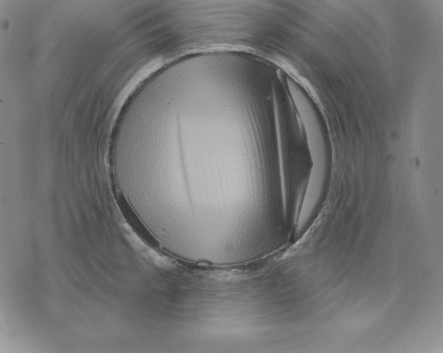 X0000075831189200610151512