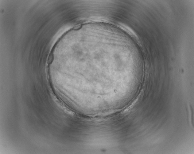 X0000075831190200610151512