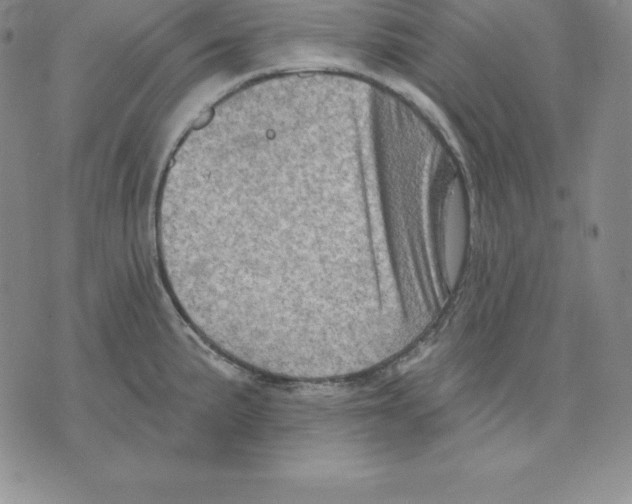 X0000075831191200610151512