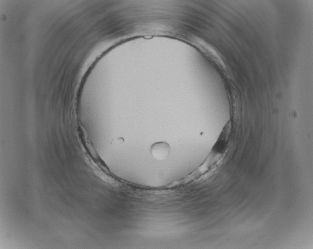 X0000075831192200610151512