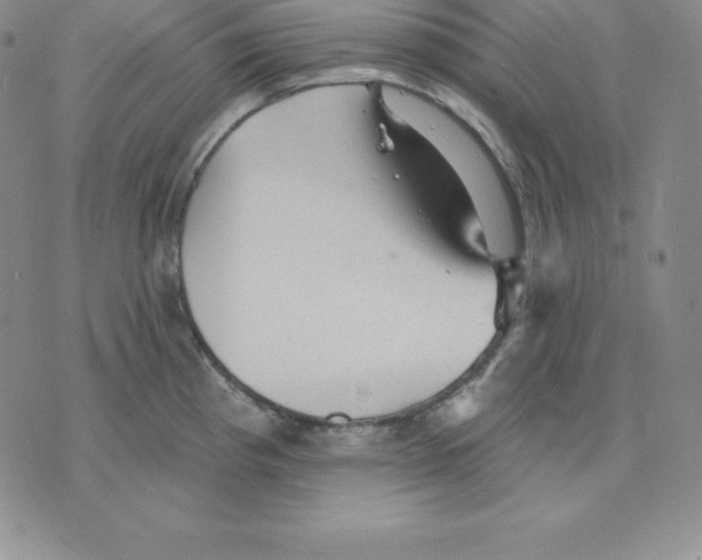 X0000075831193200610151512