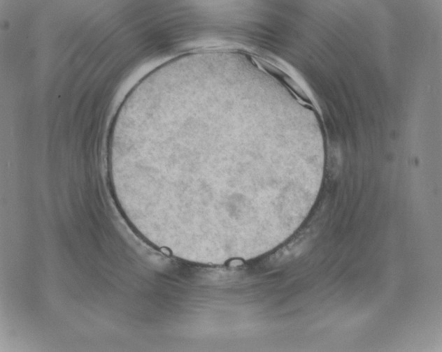 X0000075831195200610151512