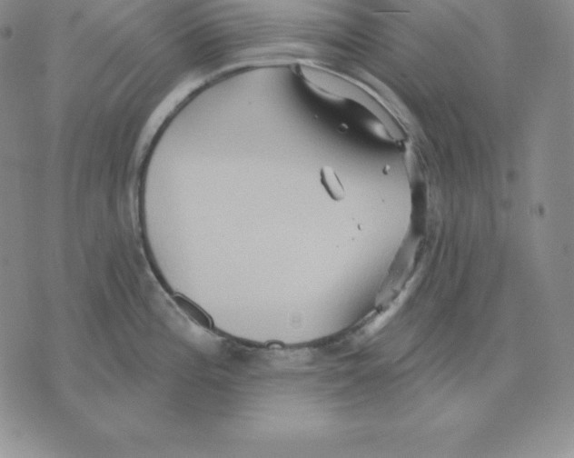 X0000075831196200610151512