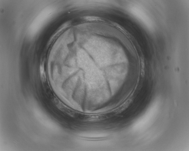 X0000075831198200610151512