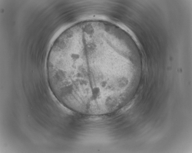 X0000075831199200610151512