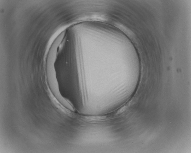 X0000075831200200610151512