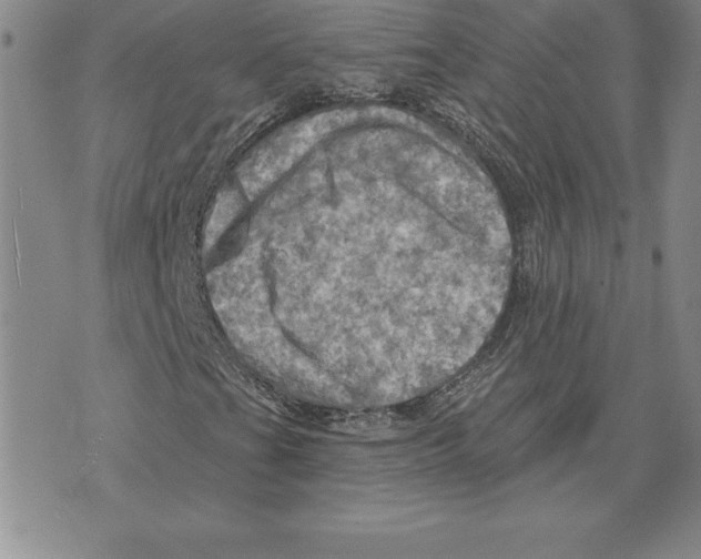 X0000075831201200610151511