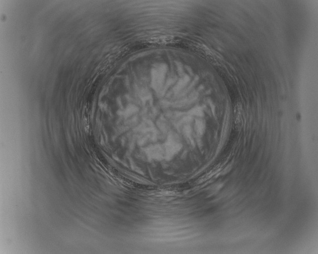 X0000075831202200610151511