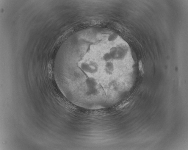 X0000075831203200610151511