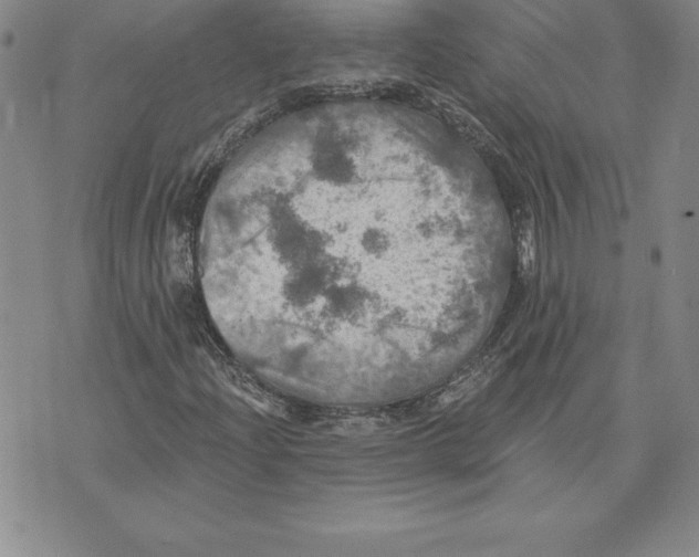 X0000075831204200610151511