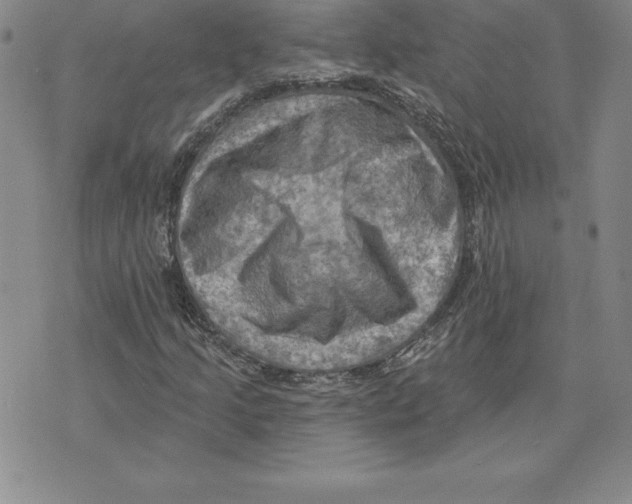 X0000075831205200610151511