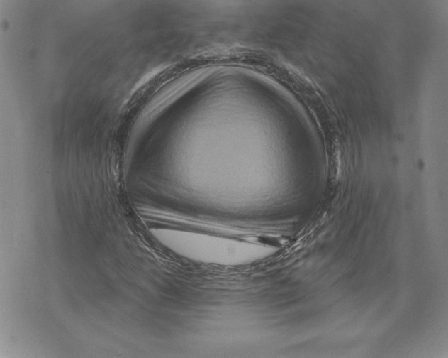 X0000075831206200610151511