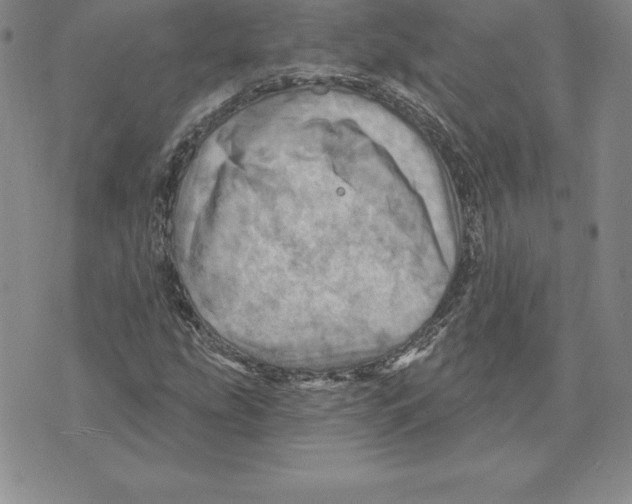 X0000075831207200610151511