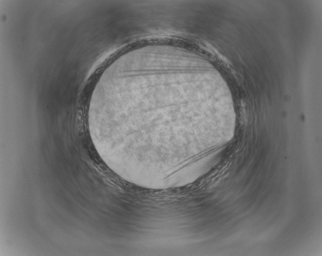 X0000075831208200610151511