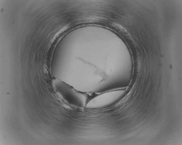 X0000075831210200610151511