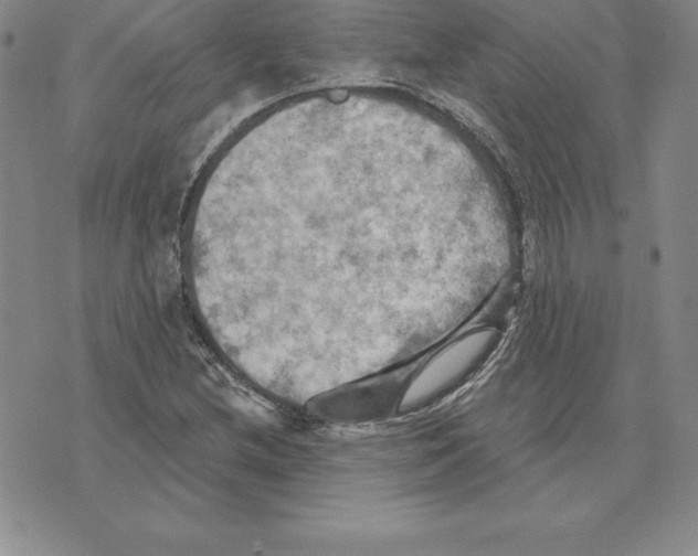 X0000075831212200610151511