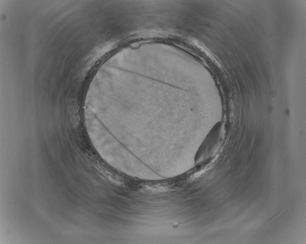 X0000075831213200610151511