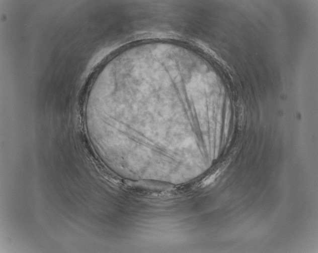 X0000075831215200610151511