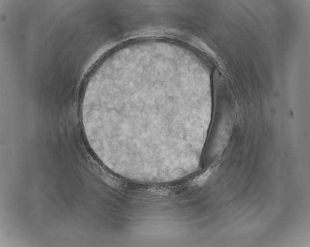 X0000075831216200610151511