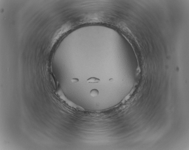 X0000075831218200610151511