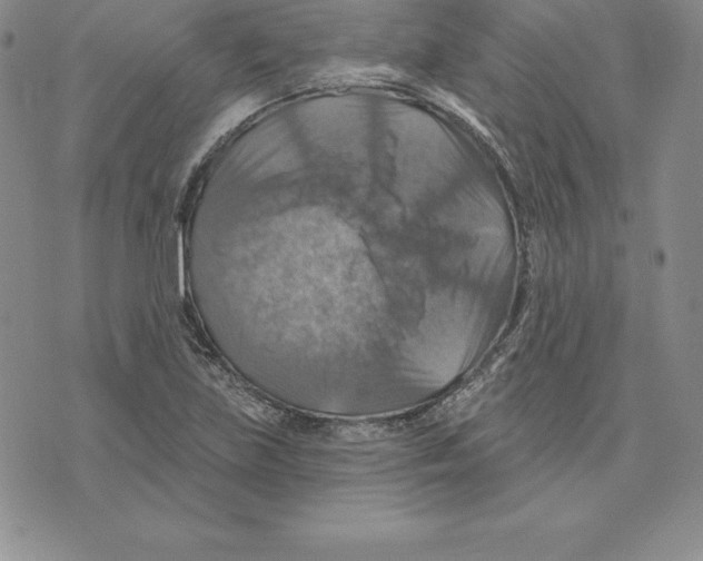 X0000075831219200610151511