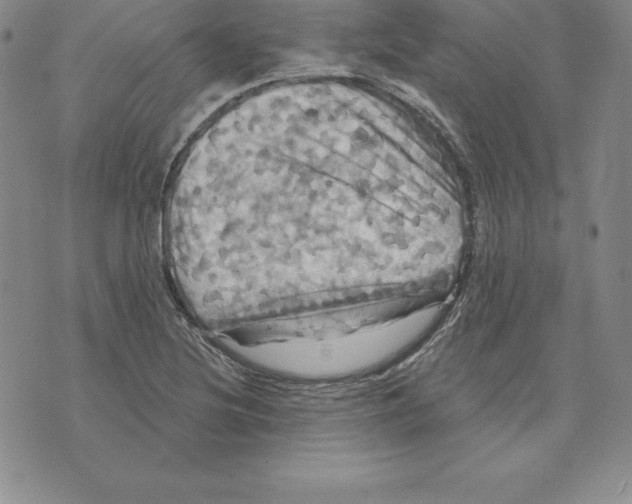 X0000075831220200610151511