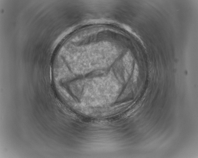 X0000075831221200610151511