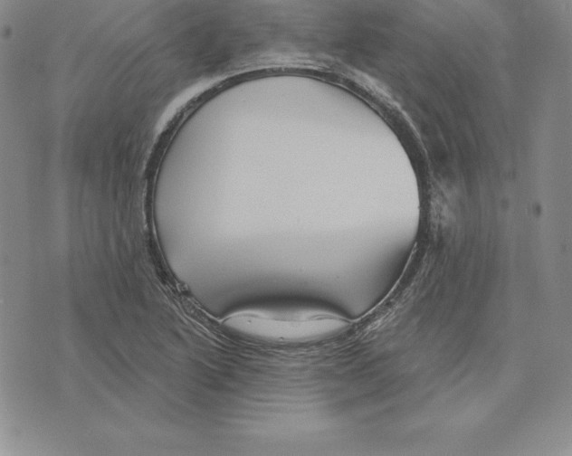 X0000075831222200610151511