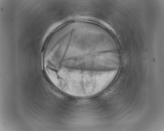 X0000075831223200610151512