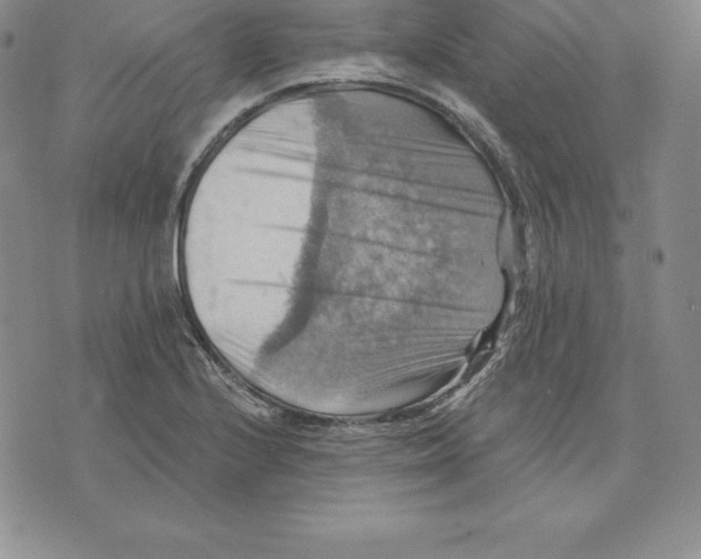 X0000075831224200610151512