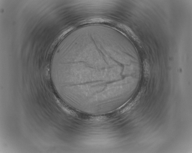 X0000075831225200610151512