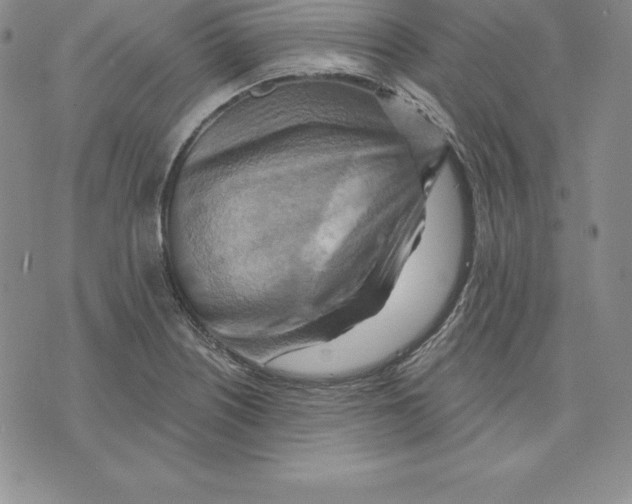 X0000075831226200610151512