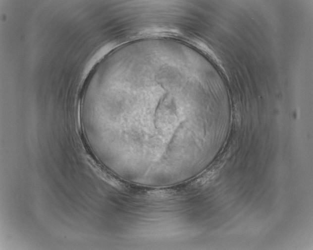 X0000075831227200610151512