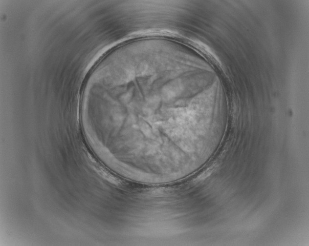 X0000075831228200610151512